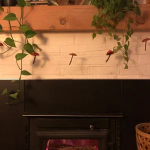 Mushroom Garland - Handmade Natural Material Decor - 7ft Total Length - Image 3