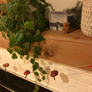 Mushroom Garland - Handmade Natural Material Decor - 7ft Total Length - Image 5