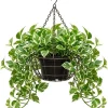 N'Joy Pothos Live Plant – Variegated Houseplant – 4 inch Pot – Indoor - Image 1