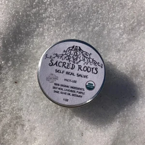 Organic Self Heal Salve - 1oz - Natural Skin Care Balm - Image 1