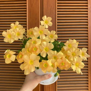 Oxalis Obtusa Sundisc Bulbs - Multi-Color Flowering Oxalis for Garden & Pots - Image 7