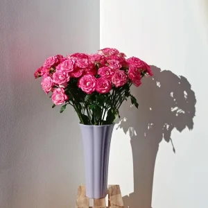 Pink Double Petal Rose Live Plant - Fragrant, Repeat Blooming, 8 cm Flowers, Outdoor - Image 6