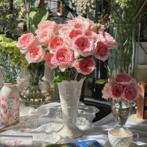 Pink Rose Flow Live Plant - 31.5