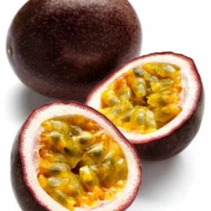 Purple Passion Fruit Live Plant – Passiflora Edulis Vine – Potted Starter Plant - Image 4