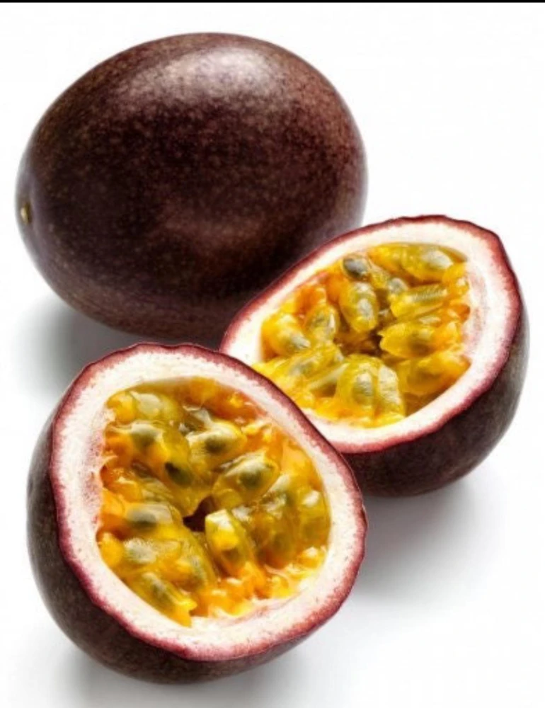 Purple Passion Fruit Live Plant – Passiflora Edulis Vine – Potted Starter Plant - Image 4