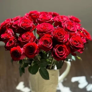 Red Cut Rose Live Plant - Deep Red Disease Resistant Rose Bush - Image 1