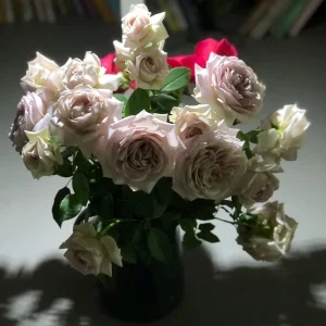 Sharitetowa Rose Live Plant - Cupped Cut Flower, Unique Beige Gray Blooms - Image 7