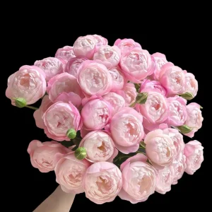 Strawberry Macaron Rose Live Plant - Pink Shrub Rose, Peony-like Blooms - Image 1