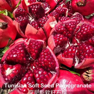 Tunisian Soft Seed Pomegranate Tree - Grafted Live Plant - Sweet Fruit, High Yield - Image 4
