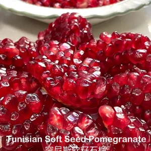 Tunisian Soft Seed Pomegranate Tree - Grafted Live Plant - Sweet Fruit, High Yield - Image 5