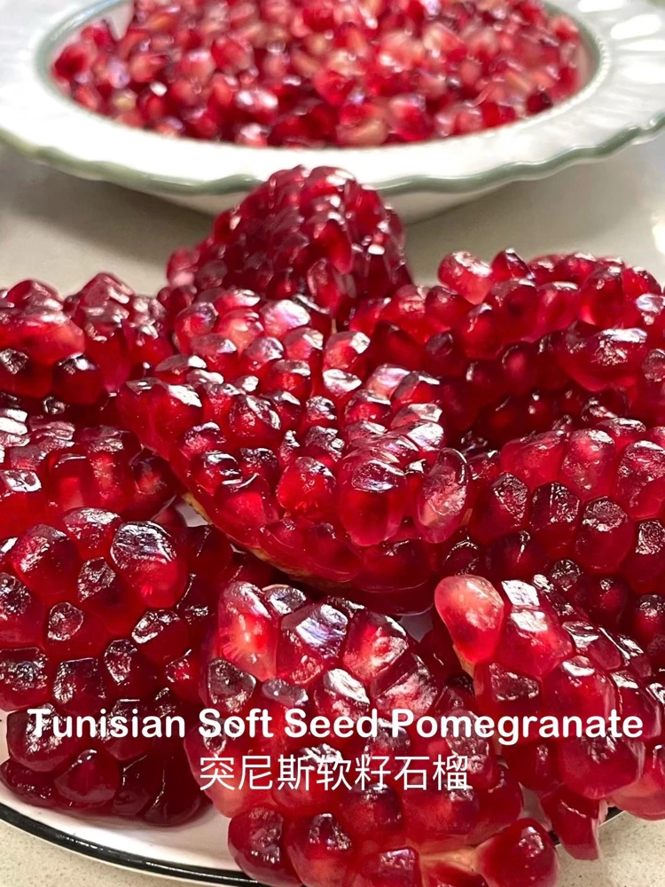 Tunisian Soft Seed Pomegranate Tree - Grafted Live Plant - Sweet Fruit, High Yield - Image 5