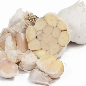 White Garlic Bulbs - Allium Sativum - 5 Edible Culinary Plant Bulbs - Image 4