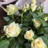 White Rose Live Plant Starter – 4-10 inch Tall Bush – Outdoor Flowering Shrub - Image 1