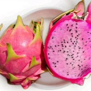 10 Organic Pink Flesh Dragon Fruit Live Cacti Cuttings 8+