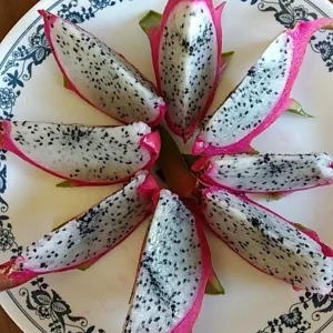 10 Organic White Flesh Dragon Fruit Cacti Cuttings - 8