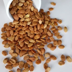 15 Chinese Bitter Melon Seeds - Heirloom Vegetable Gourd Squash, Annual, Outdoor - Image 2