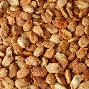 15 Chinese Bitter Melon Seeds - Heirloom Vegetable Gourd Squash, Annual, Outdoor - Image 3