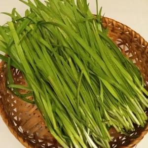 15 Garlic Chives Live Organic Bare Root Perennial Herb - Ready to Grow - Image 7
