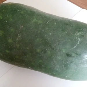 15 Giant Winter Melon Wax Gourd Squash Seeds | Easy Grow USA | Outdoor - Image 3