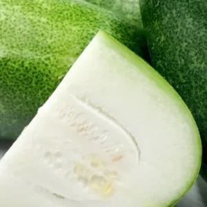 15 Giant Winter Melon Wax Gourd Squash Seeds | Easy Grow USA | Outdoor - Image 1