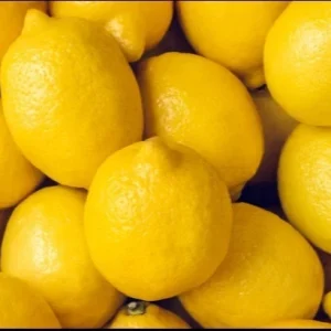15 Organic Lemon Seeds - Non-GMO Citrus Fruit Seeds, USA Grown - Image 3