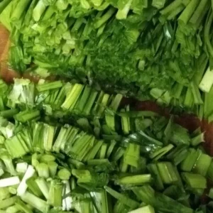 20 Garlic Chives Bare Root Plants - Organic, Hardy Perennial Herb - Image 8