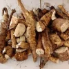 3 Chinese Yam (Dioscorea Opposita) Live Rooted Plants - Edible Perennial Vine - Image 1