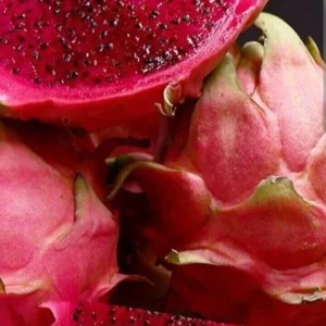 3 Red Dragon Fruit Pitaya Live Plant Cuttings 8