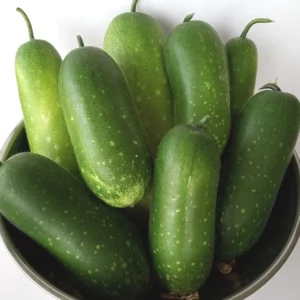 30+ Fuzzy Melon Wax Gourd Hairy Squash Seeds - Easy Grow Vegetable Seeds - Image 3
