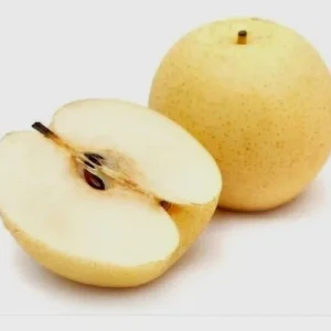 Asian Sand Pear Seeds - 10 Seeds - Pyrus Pyrifolia Edible Fruit Tree - Outdoor - Image 2