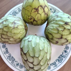 Cherimoya Honey Heart Custard Apple Fruit Seeds - 5 Organic Seeds - Image 3