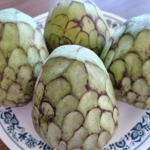Cherimoya Honey Heart Custard Apple Fruit Seeds - 5 Organic Seeds - Image 4