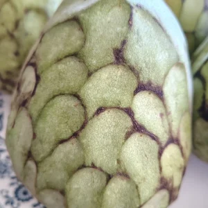 Cherimoya Honey Heart Custard Apple Fruit Seeds - 5 Organic Seeds - Image 1