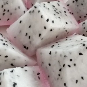 Dragon Fruit Cactus Cutting - 8