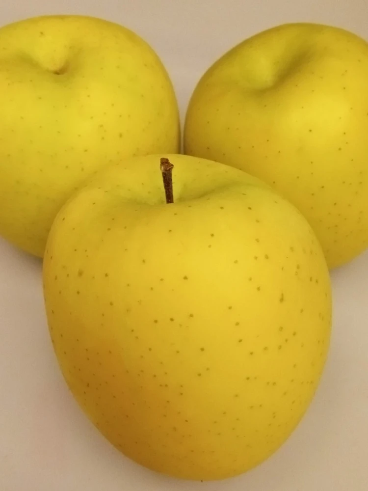 Emerald Green Apple Seeds - 10 Seeds - Rare Cultivar Edible Fruit Tree - Image 1