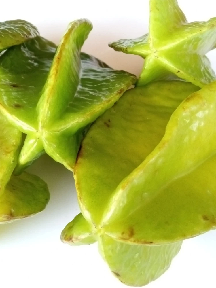 Exotic Tropical Star Fruit Seeds - 5 Averrhoa Carambola Seeds for Planting - Image 5