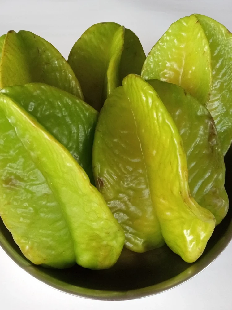 Exotic Tropical Star Fruit Seeds - 5 Averrhoa Carambola Seeds for Planting - Image 6