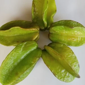 Exotic Tropical Star Fruit Seeds - 5 Averrhoa Carambola Seeds for Planting - Image 7