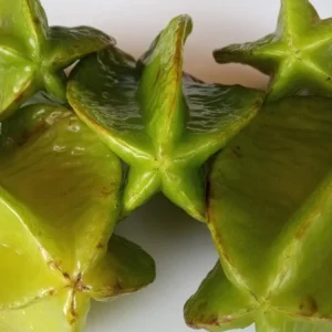 Exotic Tropical Star Fruit Seeds - 5 Averrhoa Carambola Seeds for Planting - Image 8