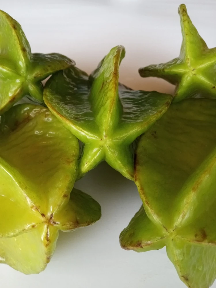 Exotic Tropical Star Fruit Seeds - 5 Averrhoa Carambola Seeds for Planting - Image 8