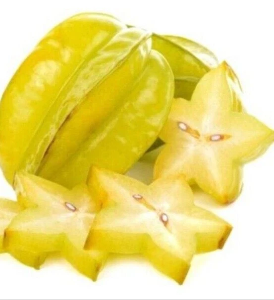 Exotic Tropical Star Fruit Seeds - 5 Averrhoa Carambola Seeds for Planting - Image 9