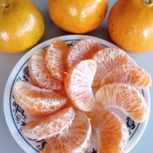Honey Tangerine Seeds - 5 Pack - Sweet Citrus Fruit Tree Seeds for Outdoor Planting - Image 4