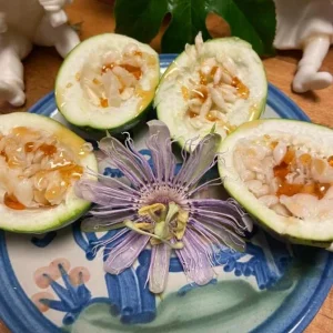 Maypop Passion Flower Live Plant - Passiflora Incarnata - Flowering Vine, Edible Fruit, Hardy - 4 Inch - Image 7