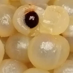 Organic Longan Seeds - 5 Pack - Exotic Tropical Fruit Seeds for Planting - Edible - Image 3