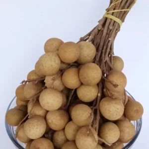 Organic Longan Seeds - 5 Pack - Exotic Tropical Fruit Seeds for Planting - Edible - Image 4