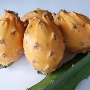 Organic Palora Yellow Dragon Fruit Seeds - Hylocereus Pitaya - 15 Seeds - Image 7