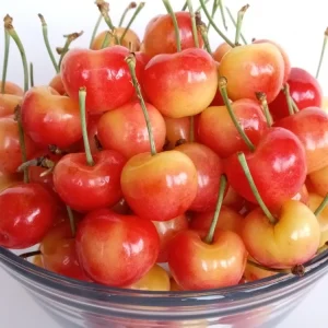 Organic Rainier Cherry Seeds - 5 Pack Edible Fruit Tree Seeds for Outdoor Planting - Image 1