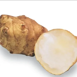 Organic White Fuseau Sunchoke Jerusalem Artichoke Bulbs 8 oz - Edible Perennial - Image 8