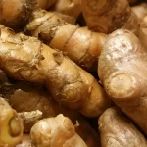 Organic Yellow Turmeric Rooted Bulbs - Live Edible Plant Ready to Grow, Perennial, Full Sun - Image 3