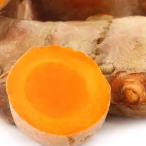 Organic Yellow Turmeric Rooted Bulbs - Live Edible Plant Ready to Grow, Perennial, Full Sun - Image 4